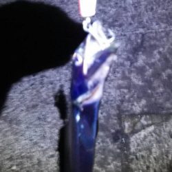 ジグで太刀魚狙い